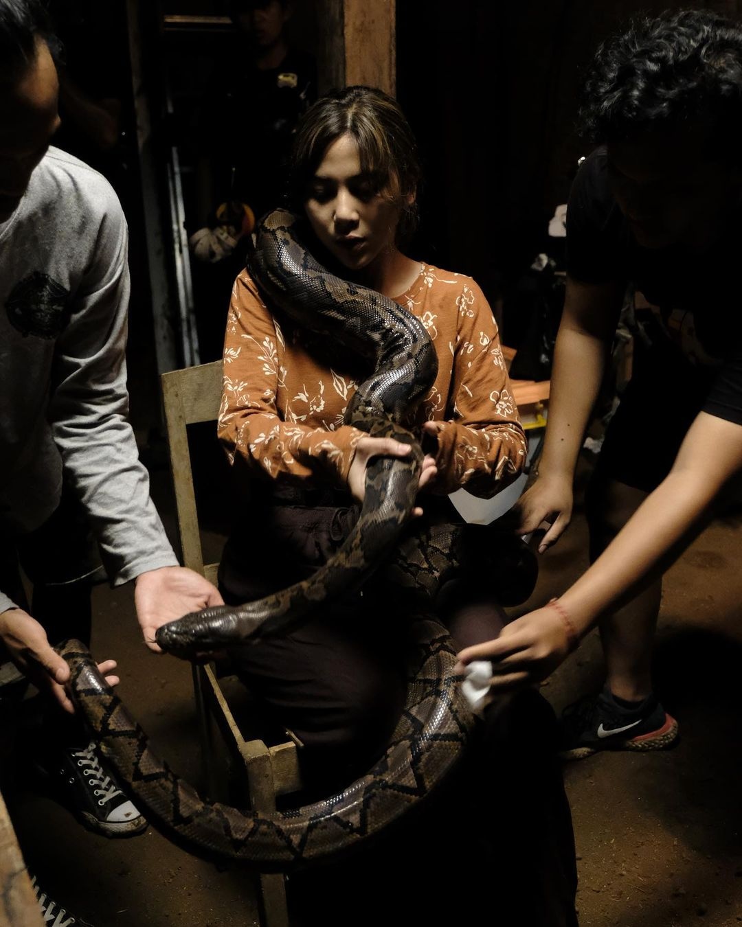 film kkn di desa penari md pictures